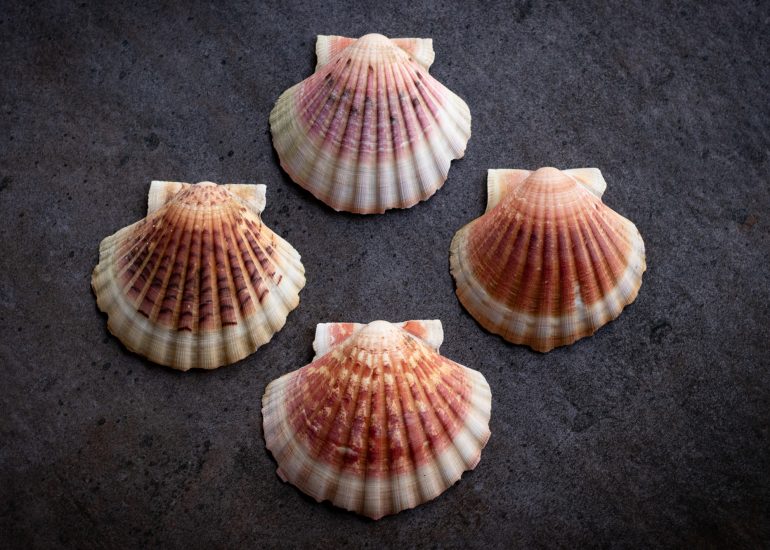 Recette de réveillon au foie gras